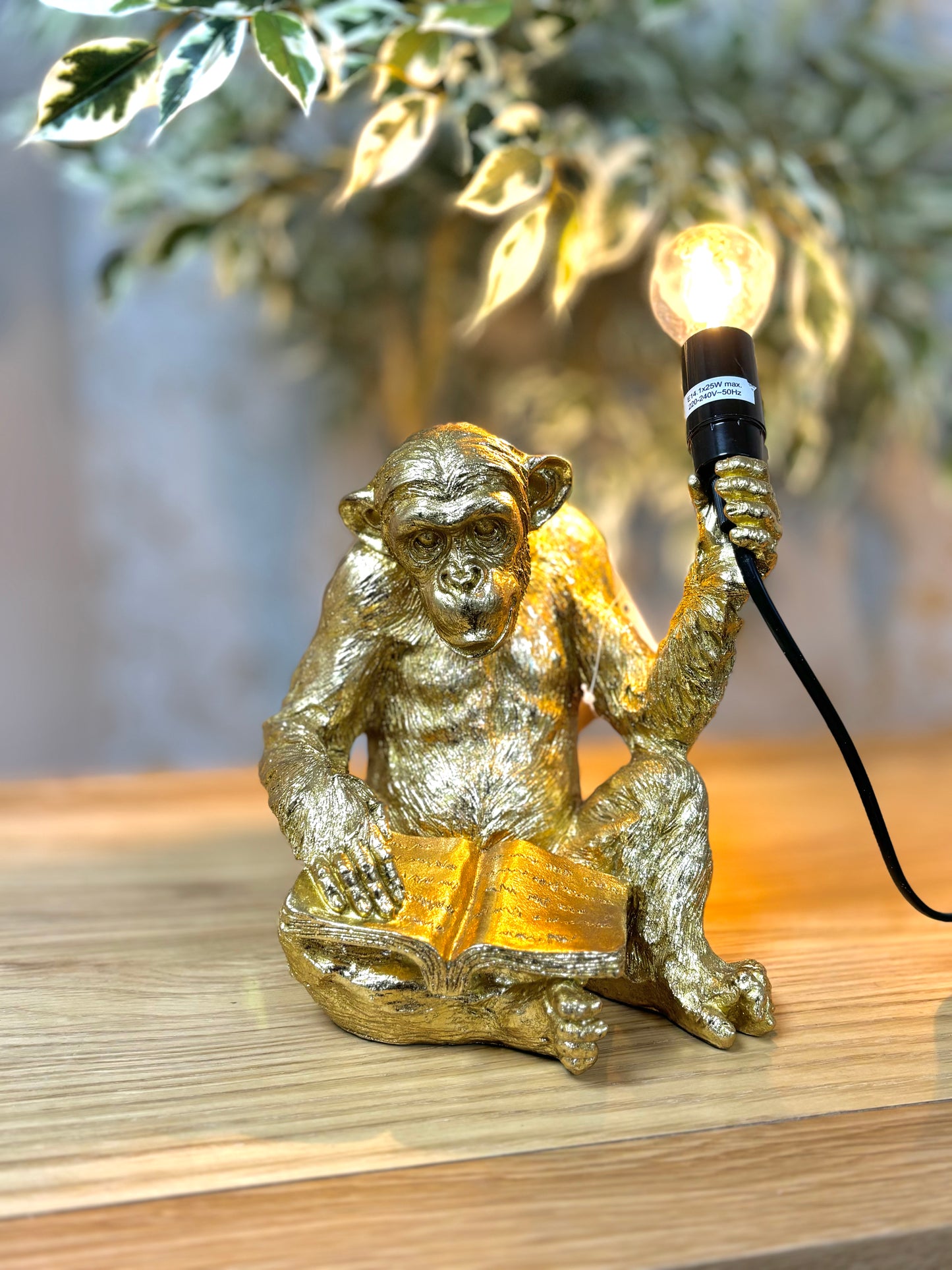 Chimp Reading Book Lamp