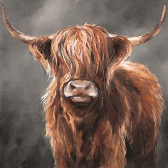 Highland Cow Oil Canvas 80x80cm